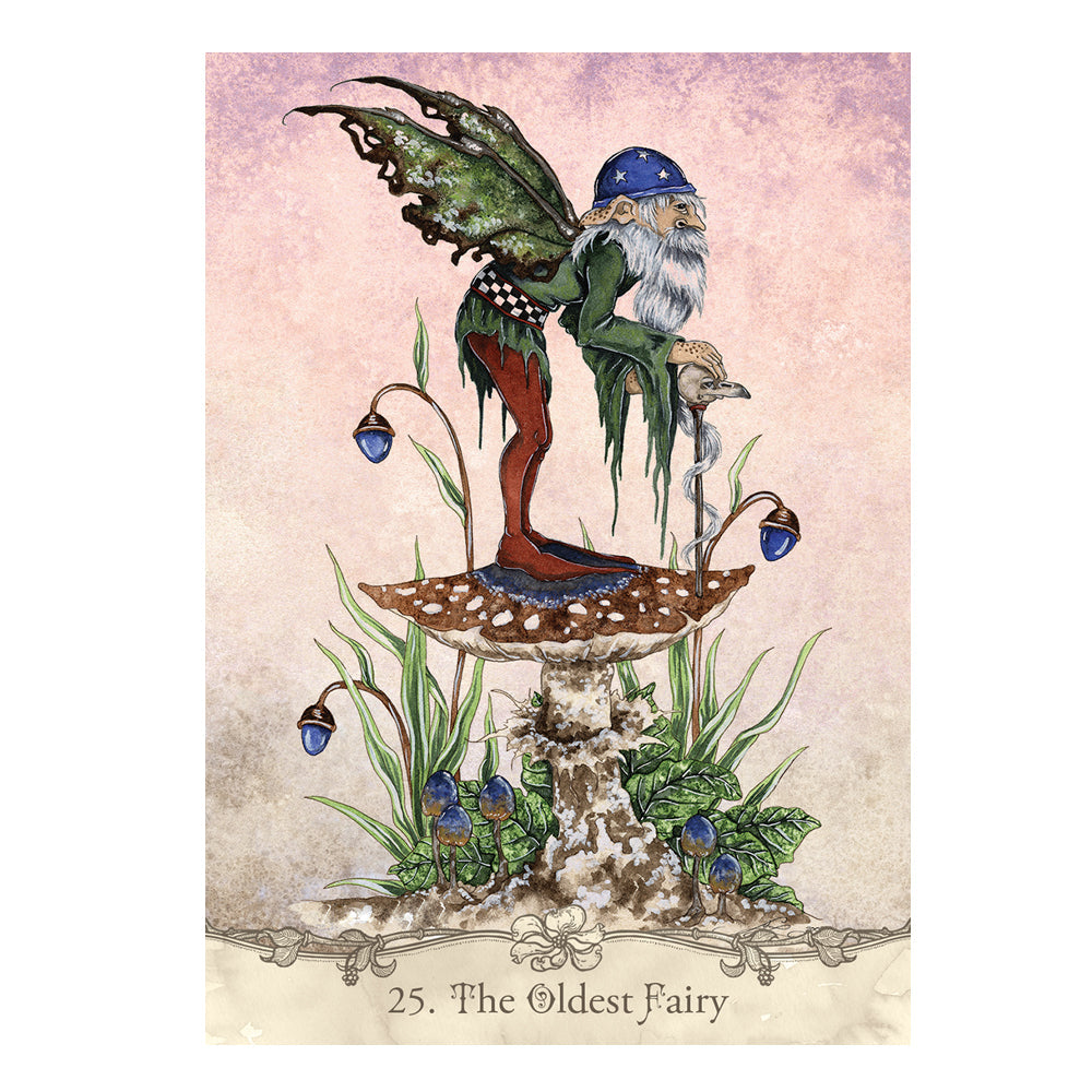 Fairy Wisdom Oracle Deck 64ct & 140-page Book Set