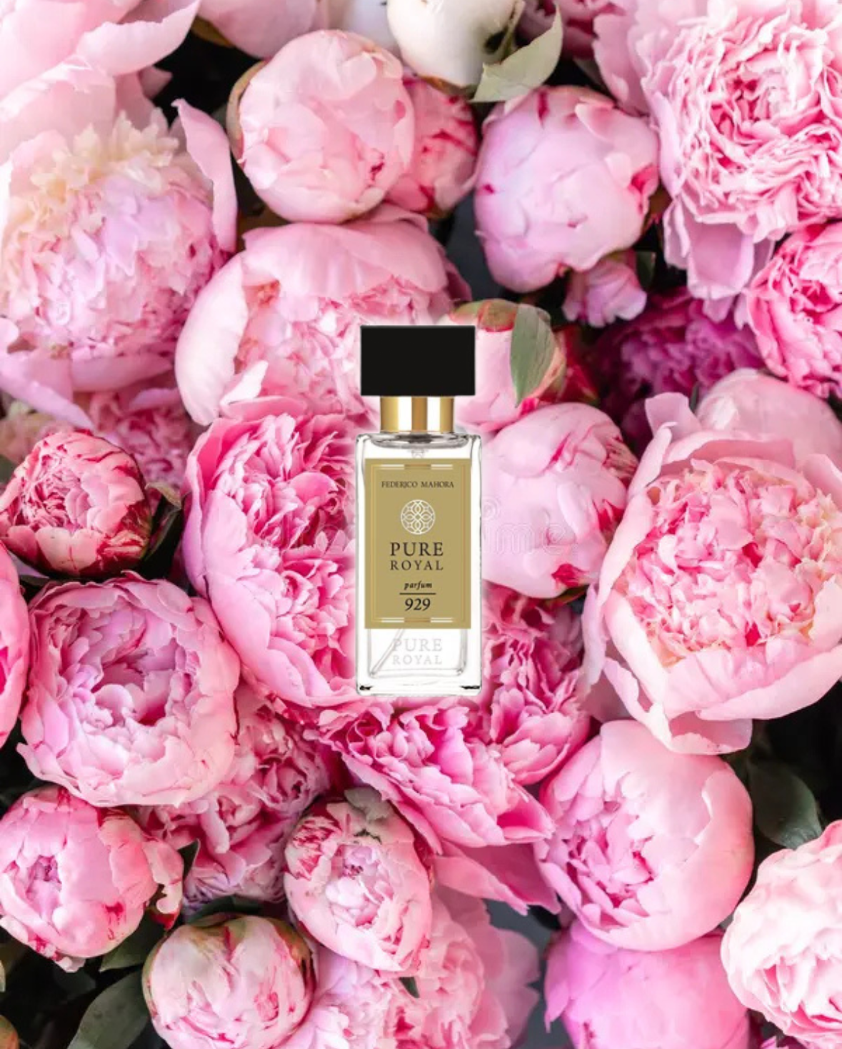 #929 Peony & Blush Suede Unisex 50ml