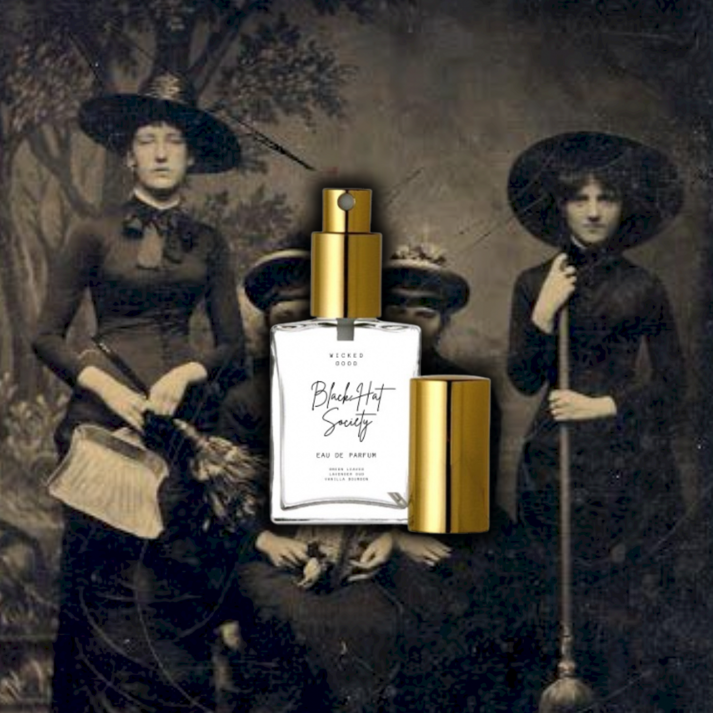 Black Hat Society For Women