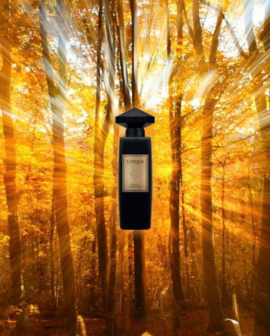 Amberwood Enchantment Unisex Luxury Utique Fragrance