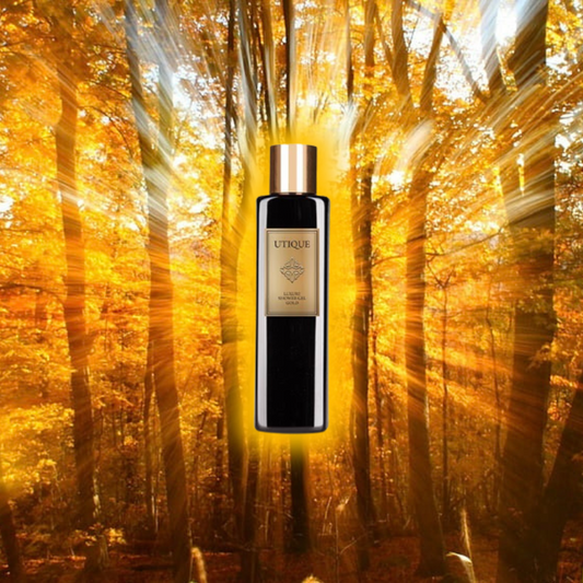 Amberwood Enchantment 6.7oz Unisex Luxury Shower Gel
