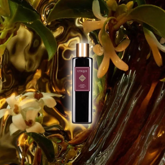 Amber Enigma 6.7oz Unisex Luxury Shower Gel